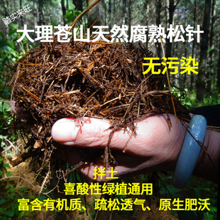 松针腐殖土腐熟松针腐叶土纯松针君子兰绿萝营养土酸性蓝莓专用土