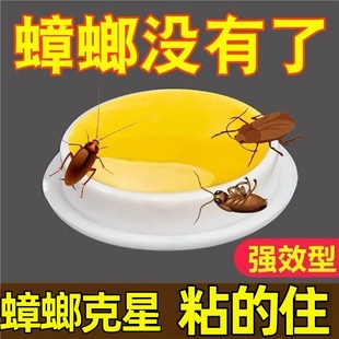 蟑螂强效出租屋家用非无毒一窝端厨房内蟑螂克星灭虫神器方便贴