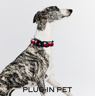 PLUG-IN PET 三色条纹宠物项圈防爆冲 Petisan