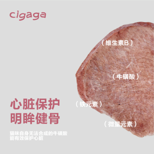 Cigaga 猪心宠物零食冻干petisan