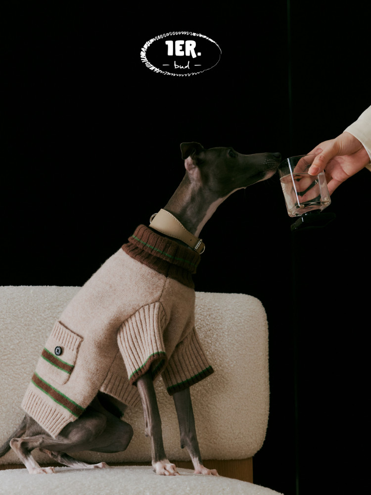 1ERbud美丽奴羊毛高领毛衣