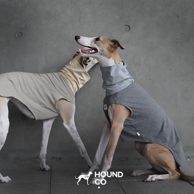 Hound.coSighthoundTeeT恤背心