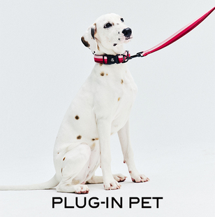 PLUG-IN PET 三色条纹牵引长短一体式 Petisan