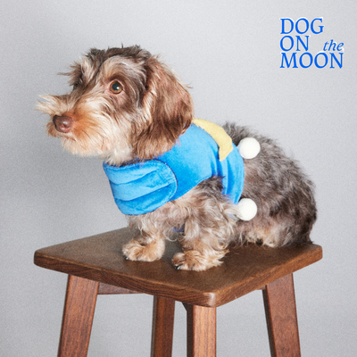 DOG ON THE MOON新款 冬季胸背petisan