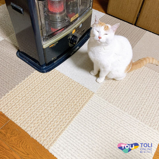 地毯款宠物地垫日本进口toli可切割拼接 A1000 Petisan