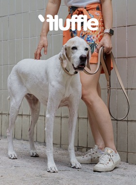 fluffle 双层小牛皮可拆卸米棕色项圈牵引 petisan