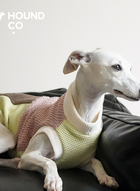 The fun sweater拼接毛衣背心Hound.co意大利小灵缇惠比特petisan