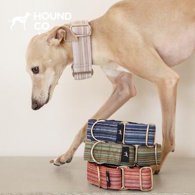 宠物先染后织套头项圈Hound.co防跳脱舒适小灵缇惠比特petisan