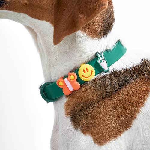 挂件配饰WildOne适配项圈牵引胸背纽约进口潮流设计师品牌petisan