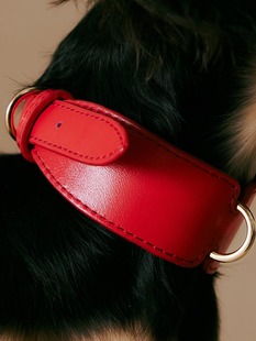 新年红色 真皮项圈 1ER bud西班牙牛皮柔软 Petisan