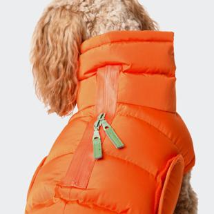 保暖外套德国Cloud7秋冬防水 阿拉斯加24年新款 petisan 现货