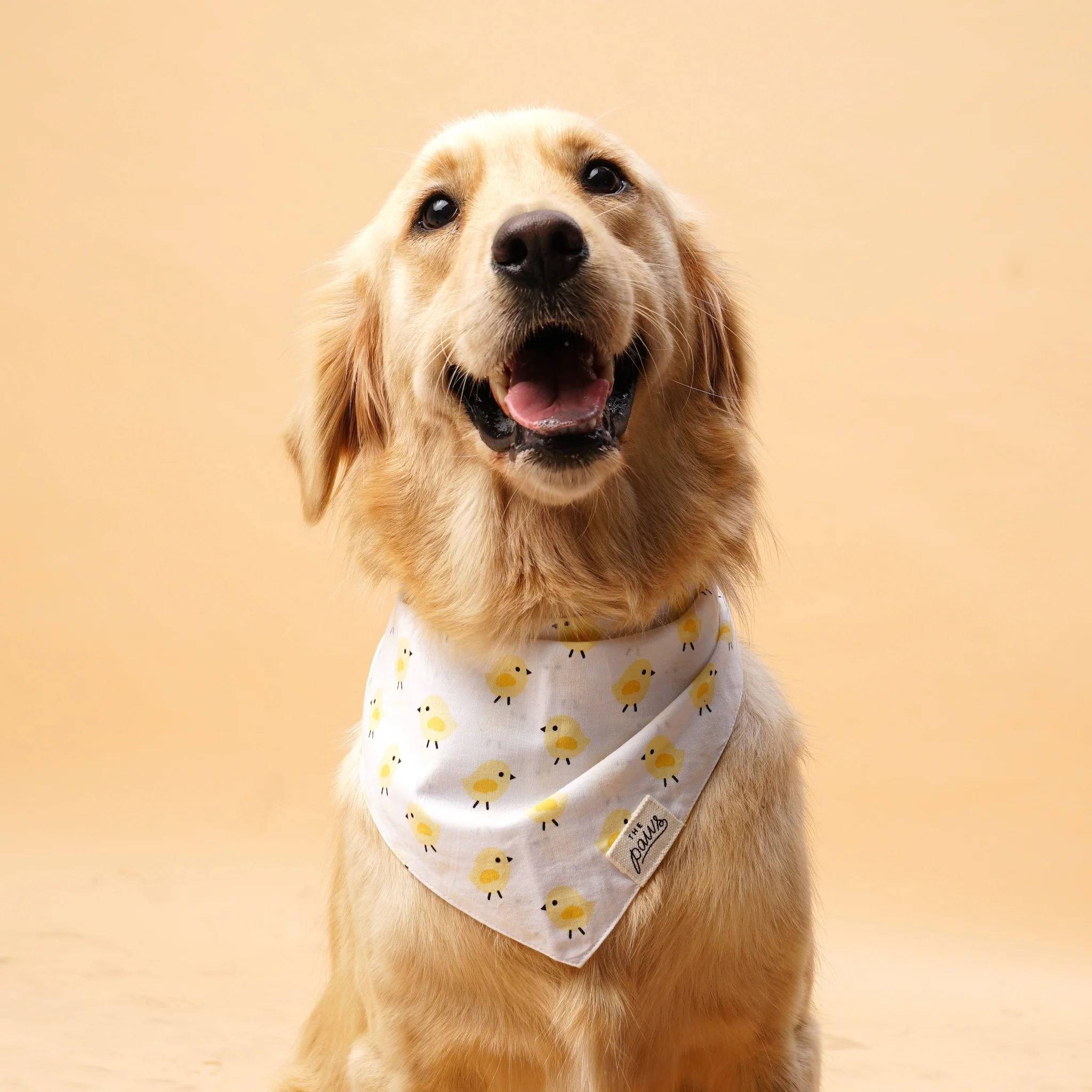 口水巾ThePaws巴厘岛三角巾猫咪狗狗宠物印花方巾柴犬装扮petisan