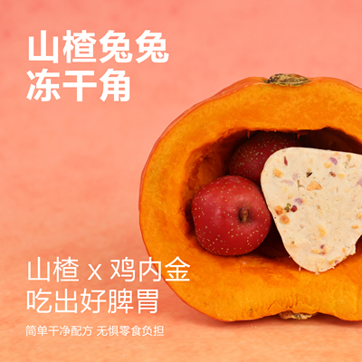 Cigaga 山楂兔兔宠物零食冻干petisan