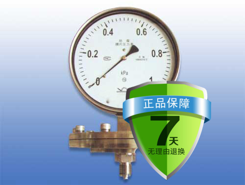 法兰式ZOHA西仪一厂隔膜压力表