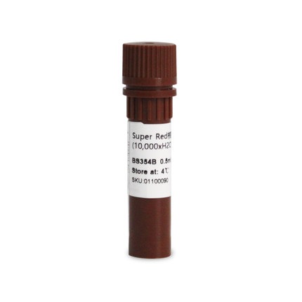 白鲨 BS354B 核酸染料Super Red RNA核酸染料 DNA染色