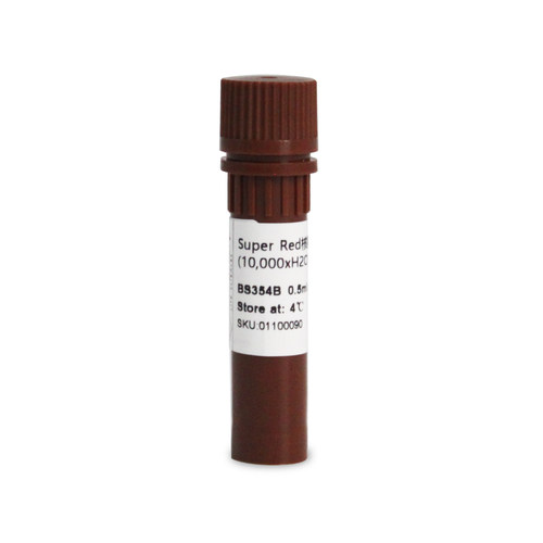 白鲨 BS354B 核酸染料Super Red RNA核酸染料 DNA染色