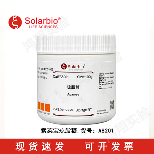 索莱宝白鲨DNA电泳，蛋白电泳