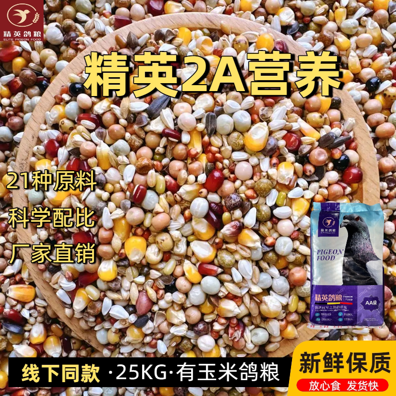 精英2A营养有玉米鸽粮信鸽观赏鸟食