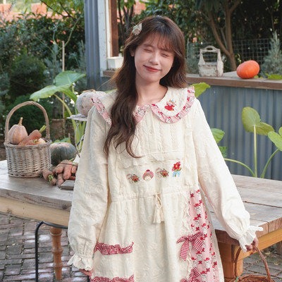 冬季加绒加厚精致刺绣蕾丝仙女裙