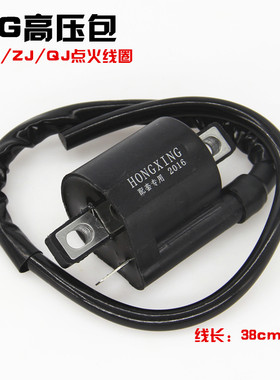 天马钱江WY点火线圈配件