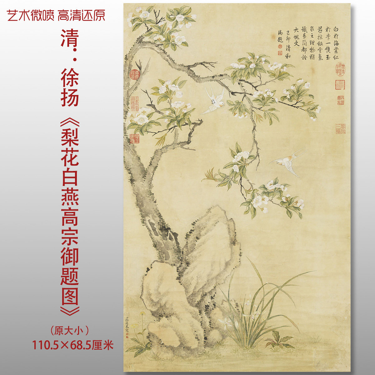 清徐扬梨花白燕高宗御题图花鸟工笔画复制品艺术微喷绢本画心临摹