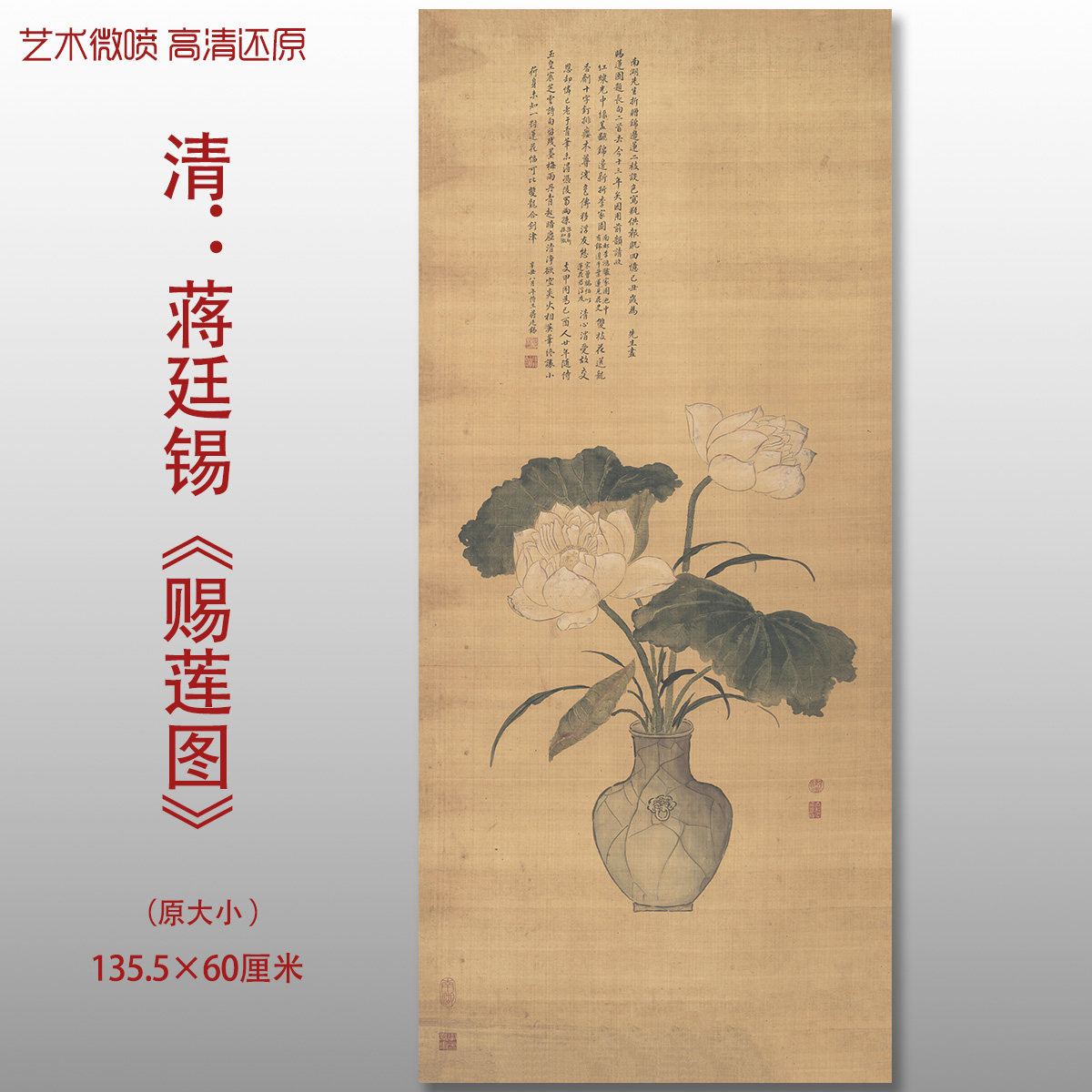 清代 蒋廷锡 赐莲图花卉花瓶国画复制品高清艺术微喷绢本临摹画心