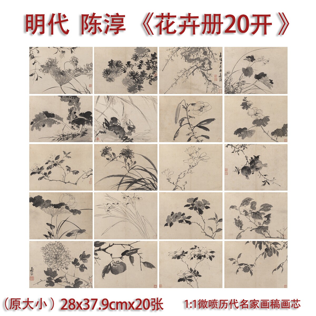 明陈淳花卉册二十开写生图册临摹画稿微喷打印古画复制品花鸟画心