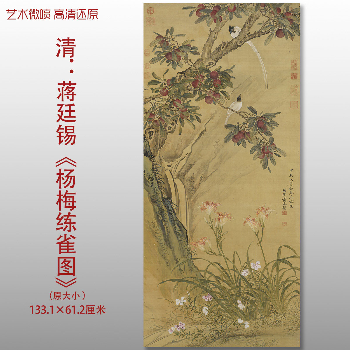清蒋廷锡杨梅练雀图传统花鸟国画复制品高清艺术微喷绢本临摹画心