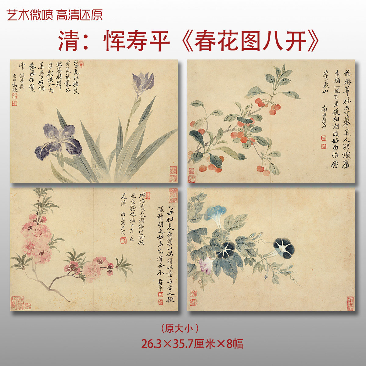 清代恽寿平春花八开图没骨花鸟图复制品高清艺术微喷画心临摹画稿
