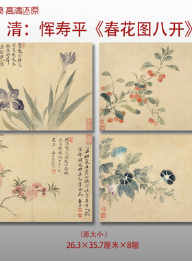 清代恽寿平春花八开图没骨花鸟图复制品高清艺术微喷画心临摹画稿