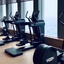 technogym踏步机健身房专用静音
