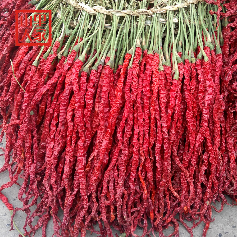 二荆条干辣椒贵州皱椒大方皱椒