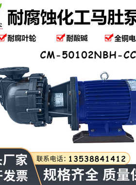 胜川宝CM-50102NBH-CCH化工电镀泵大头泵槽外泵卧式耐酸碱自吸泵