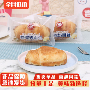 南星骆驼奶面包整箱早餐下午茶休闲小吃零食点心充饥饱腹速食品