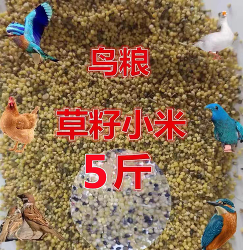 草籽米鸟食鸟粮去壳谷子小米喂鸟鸡鸭鹅饲料碎米八哥鹩哥5斤包邮