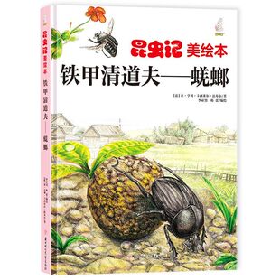 硬壳幼儿园幼儿阅读 铁甲清道夫蜣螂 精装 科普绘本 儿童绘本3到6岁故事书 黑甲虫屎壳郎昆虫记美绘本关于昆虫
