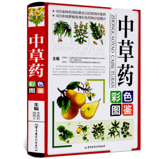 中国药材图鉴中医学书籍中药材大全彩色药物识别图片400余种常用中草药鉴别入门图书籍畅销书 全彩正版 中草药彩色图鉴图谱 精装