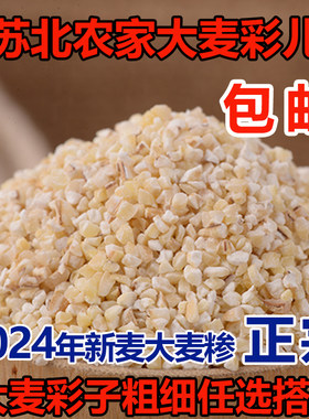 25年苏北特产大麦采子 中粗盐城大麦糁彩子含麦麸麦渣煮粥5斤包邮