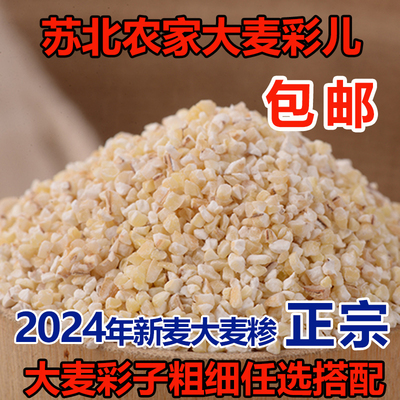 25年苏北特产大麦采子 中粗盐城大麦糁彩子含麦麸麦渣煮粥5斤包邮