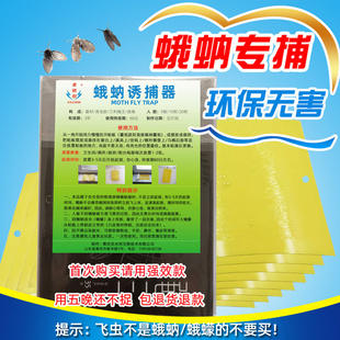 蛾蠓粘虫板蛾蚋诱捕器地沟蝇粘板卫生间厨房下水道飞虫贴孕婴可用