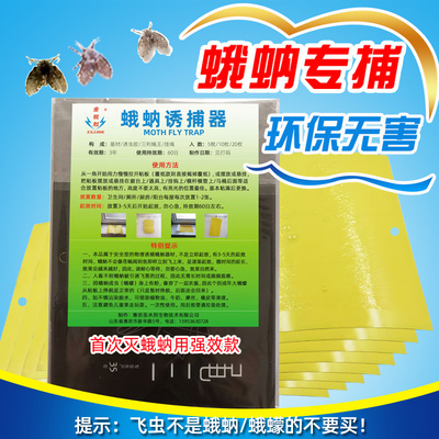 蛾蚋蛾蠓粘虫板下水道飞虫粘板贴