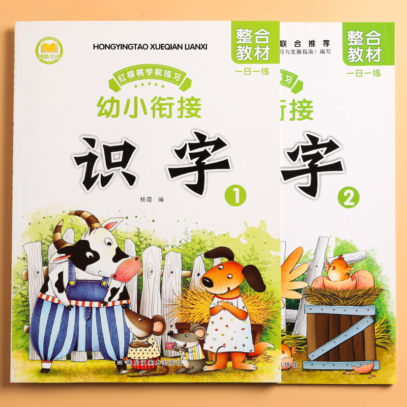 6岁宝宝学汉字正版健康环保印刷图书中班大班教材田字格笔顺笔画组词