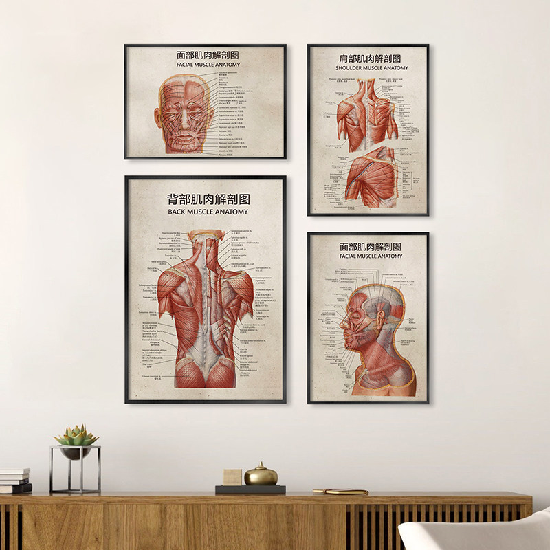 物理治疗与康复中心挂画铝合金框