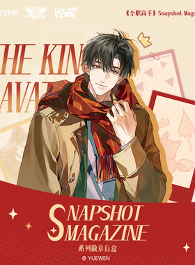 现货 Hitcard 阅文好物 全职高手周边Snapshot Magazine系列徽章