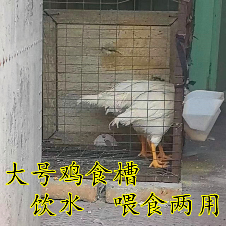 鸽子用品用具鸡用喂食盒 饮水盒 饲料盒喂食器喂鸡食槽鸡食槽挂式