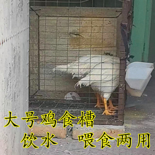 鸽子用品用具鸡用喂食盒 饮水盒 饲料盒喂食器喂鸡食槽鸡食槽挂式