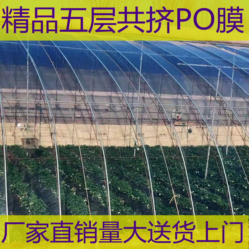 EVA大棚膜防晒高透光保温不起雾