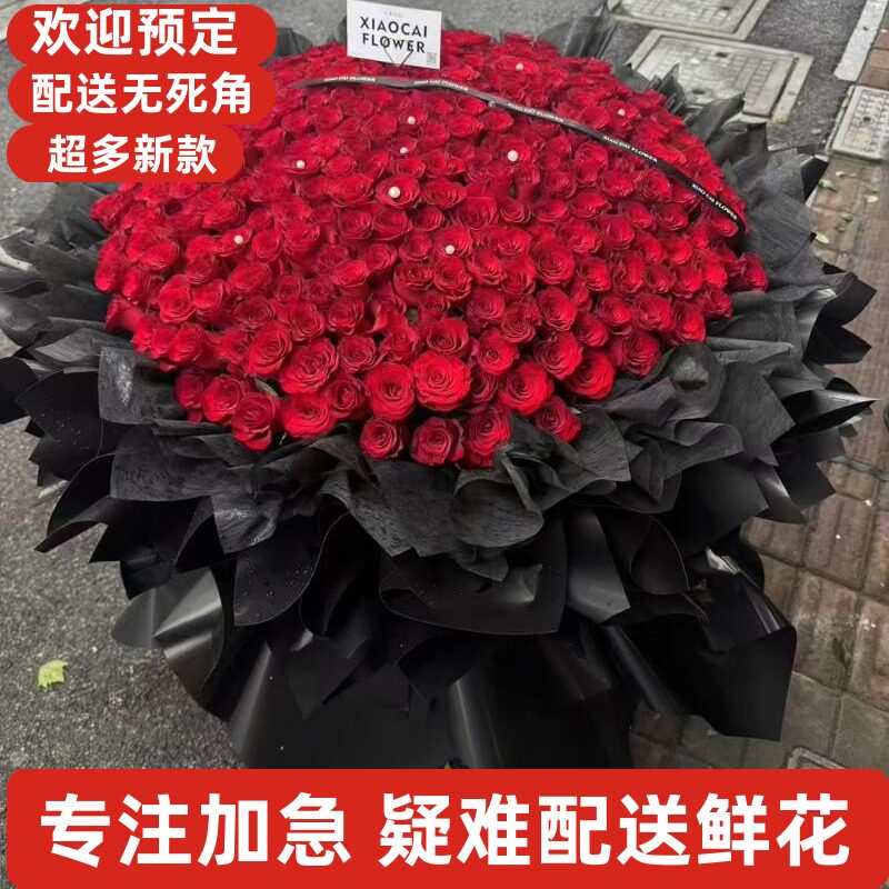 情人节鲜花同城送湛江赤坎霞山坡头麻章遂溪徐闻廉江雷州吴川市