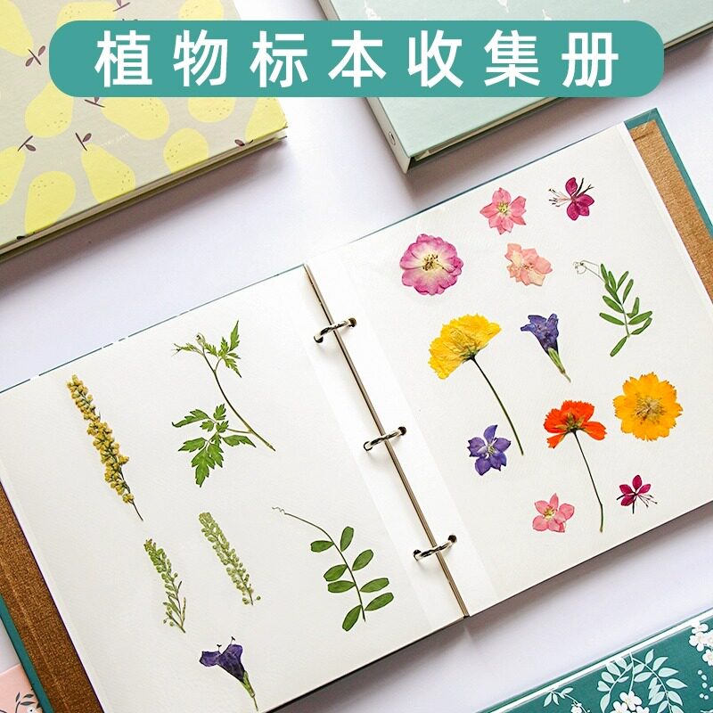 植物标本收集册压花收纳册