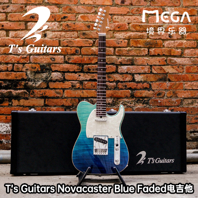 rsquoguitarsstandard电吉他